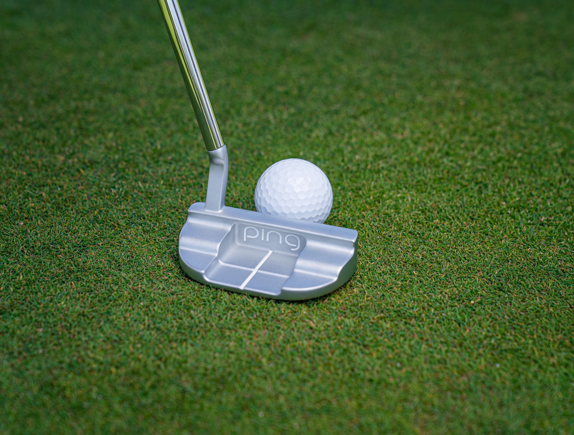 PING Women's G Le3 Louise Putter | Dick's Sporting Goods